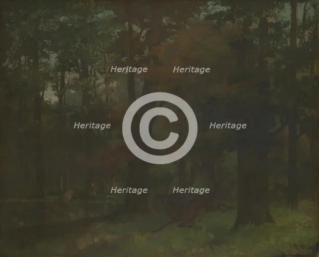 In the Forest. Artist: Courbet, Gustave (1819-1877)