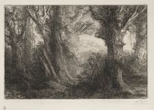 In the Forest at Conteville. Creator: Alphonse Legros (French, 1837-1911)