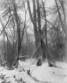 In the forest, c1908. Creator: Edward Sheriff Curtis