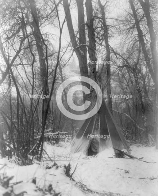 In the forest, c1908. Creator: Edward Sheriff Curtis.