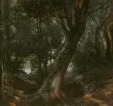 In the Forest. Creator: Egron Sellif Lundgren