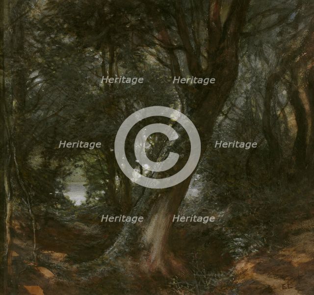 In the Forest. Creator: Egron Sellif Lundgren.