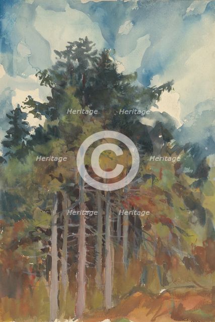 In the Forest in Autumn, 1928-1933. Creator: Zolo Palugyay.