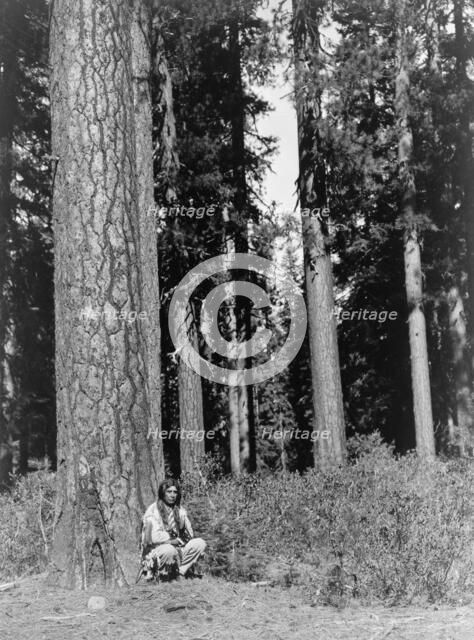 In the forest-Klamath, c1923. Creator: Edward Sheriff Curtis.
