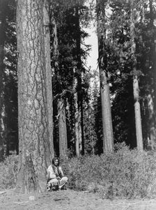 In the forest-Klamath, c1923. Creator: Edward Sheriff Curtis