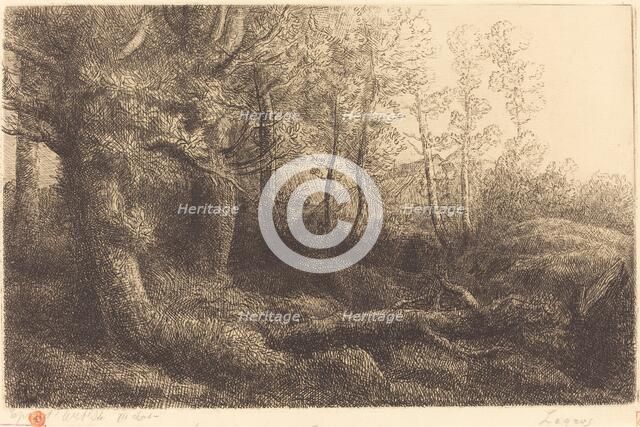 In the Forest (Lisiere de foret). Creator: Alphonse Legros.