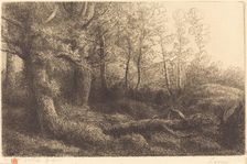 In the Forest (Lisiere de foret). Creator: Alphonse Legros