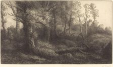In the Forest (Lisiere de foret). Creator: Alphonse Legros