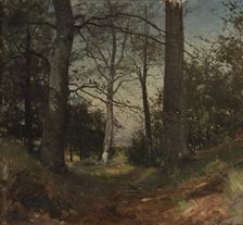 In the Forest. Motif from Stehag, Skåne. Study, 1870. Creator: Gustaf Rydberg