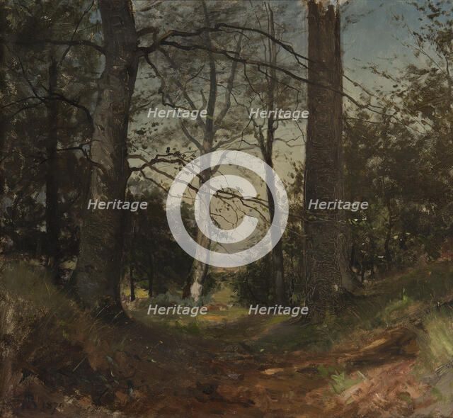 In the Forest. Motif from Stehag, Skåne. Study, 1870. Creator: Gustaf Rydberg.