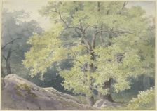 In the forest near Falkenstein, 1877. Creator: Ernst Morgenstern