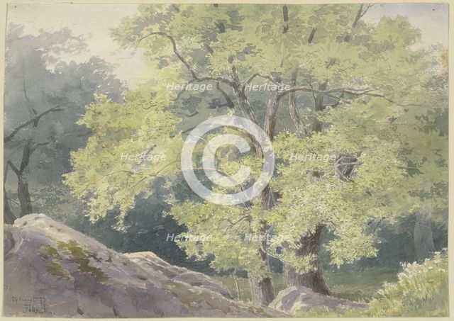 In the forest near Falkenstein, 1877. Creator: Ernst Morgenstern.