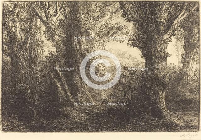 In the Forest of Conteville (Dans la foret de Conteville). Creator: Alphonse Legros.