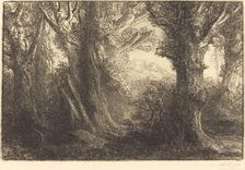 In the Forest of Conteville (Dans la foret de Conteville). Creator: Alphonse Legros