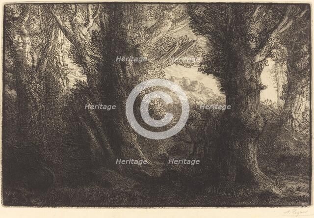 In the Forest of Conteville (Dans la foret de Conteville). Creator: Alphonse Legros.