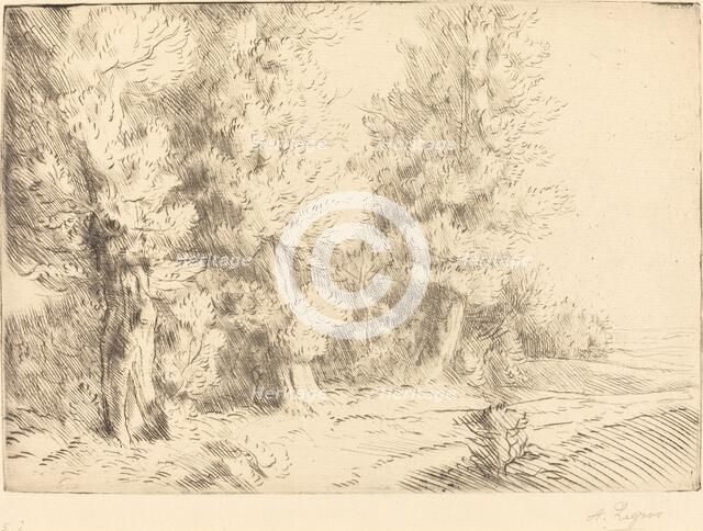 In the Forest of Fontainebleau (Dans la foret de Fontainebleau). Creator: Alphonse Legros.