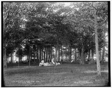 In the grove at Poland Spring Hotel, South Poland, Maine, c1900. Creator: Unknown