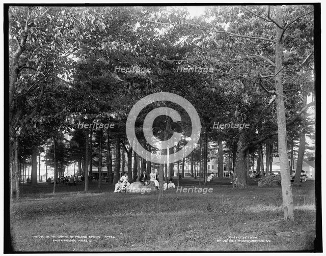 In the grove at Poland Spring Hotel, South Poland, Maine, c1900. Creator: Unknown.