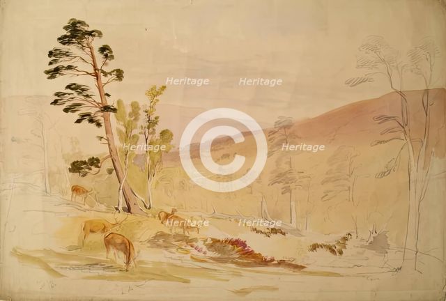 In the Lui More, 1844. Creator: James William Giles.
