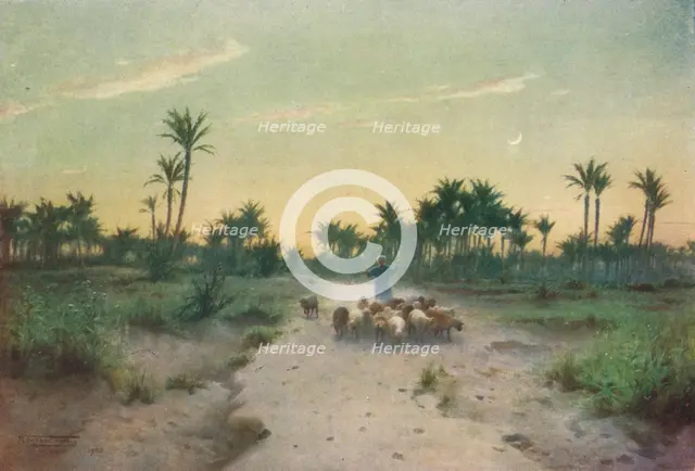 'In the Land of Goshen - Evening', c1880, (1904). Artist: Robert George Talbot Kelly.