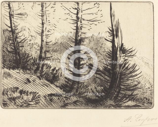 In the Pyrenees (Dans les Pyrenees). Creator: Alphonse Legros.