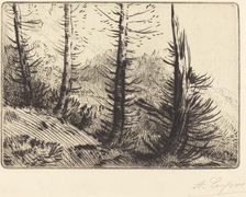 In the Pyrenees (Dans les Pyrenees). Creator: Alphonse Legros