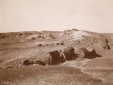 In the Petrified Forest (General View, Middle Park), c.1895-1897. Creator: Vroman, A.C