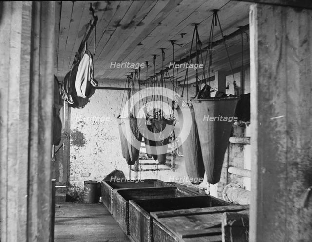 In the refining room filtering sea elephant oil, c1895. Creator: Unknown.