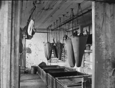 In the refining room filtering sea elephant oil, c1895. Creator: Unknown