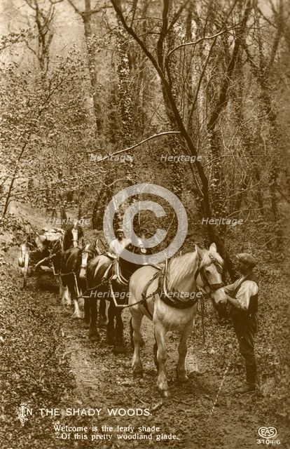 'In the Shady Woods', late 19th or early 20th century. Artist: Unknown