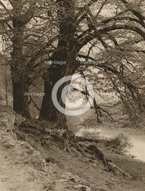 'In the Valley of the Nab', 1931. Artist: Kurt Hielscher.