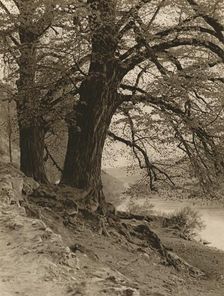 In the Valley of the Nab 1931. Artist: Kurt Hielscher