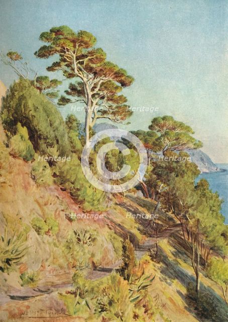 'In the Villa Piuma, Sestri Levante', c1910, (1912). Artist: Walter Frederick Roofe Tyndale.