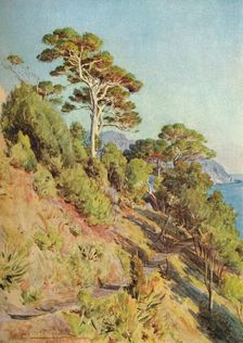 In the Villa Piuma, Sestri Levante c1910, (1912). Artist: Walter Frederick Roofe Tyndale