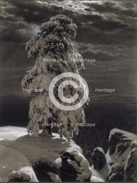 In the wilds of the North, 1890. Creator: Shishkin, Ivan Ivanovich (1832-1898).