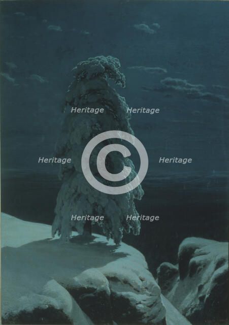 In the wilds of the North. Artist: Shishkin, Ivan Ivanovich (1832-1898)