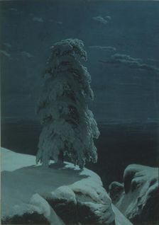 In the wilds of the North. Artist: Shishkin, Ivan Ivanovich (1832-1898)