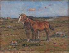 In the Wind, 1904. Creator: Nils Kreuger