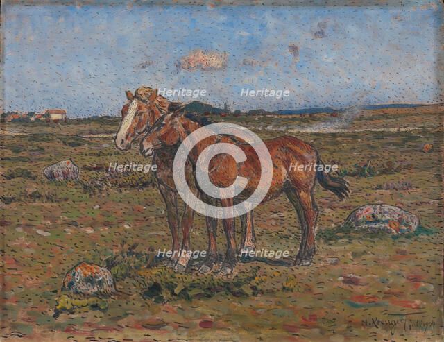 In the Wind, 1904. Creator: Nils Kreuger.