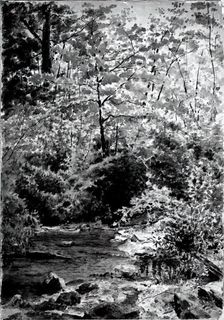 In The Woods, 1889. Creator: Louis Michel Eilshemius
