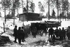 In the woods, 1890. Creator: Unknown