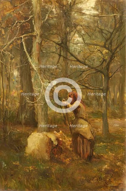 In the Woods at Muthill, Perthshire, 1880 - 1886. Creator: James Lawton Wingate.