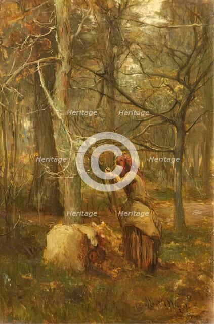 In the Woods at Muthill, Perthshire, 1880 - 1886. Creator: James Lawton Wingate.