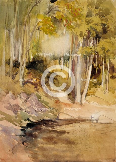 In the Woods, c1890s. Creator: Albert Edelfelt.