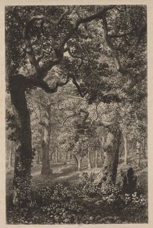 In the Woods. Creator: Adolphe Théodore Jules Martial Potémont (French, 1828-1883)