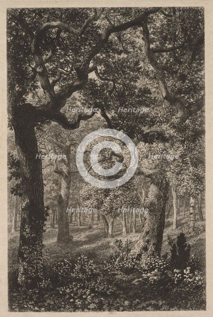 In the Woods. Creator: Adolphe Théodore Jules Martial Potémont (French, 1828-1883).