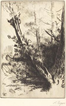 In the Woods (Dans les bois). Creator: Alphonse Legros
