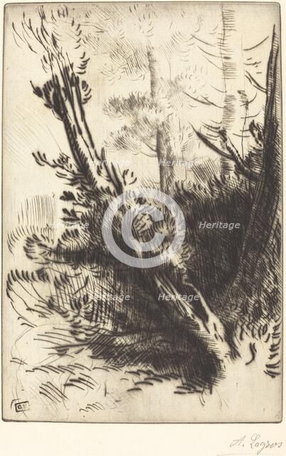 In the Woods (Dans les bois). Creator: Alphonse Legros.
