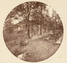 In the Yosemite Valley, ca. 1878. Creator: Carleton Emmons Watkins