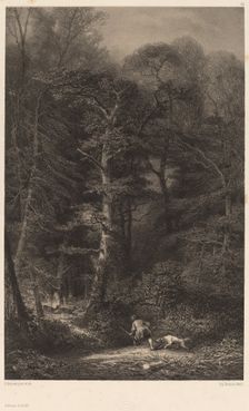 Intérieur de Forêt. Creator: Karl Bodmer